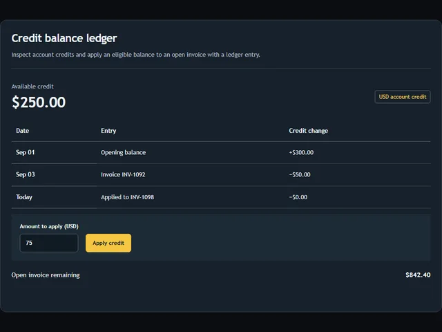 Credit balance ledger